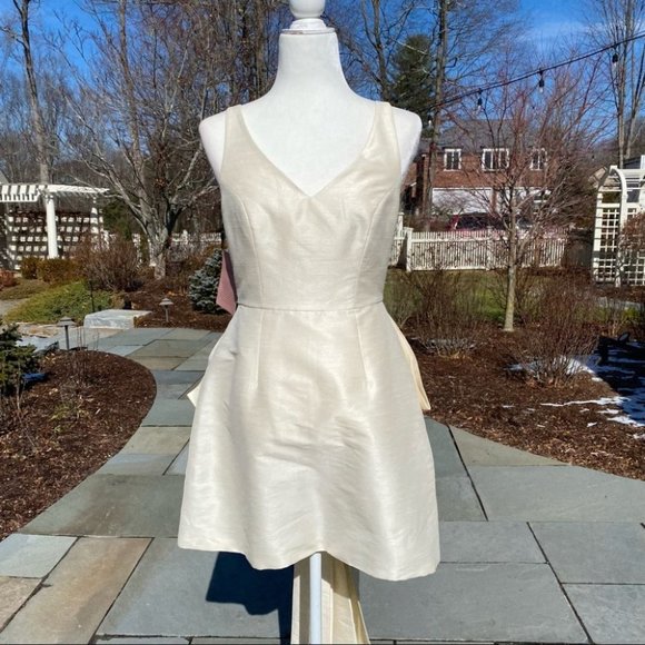 NWT Sachin and Babi Archie Mini Dress in Ivory 4 - Picture 11 of 17